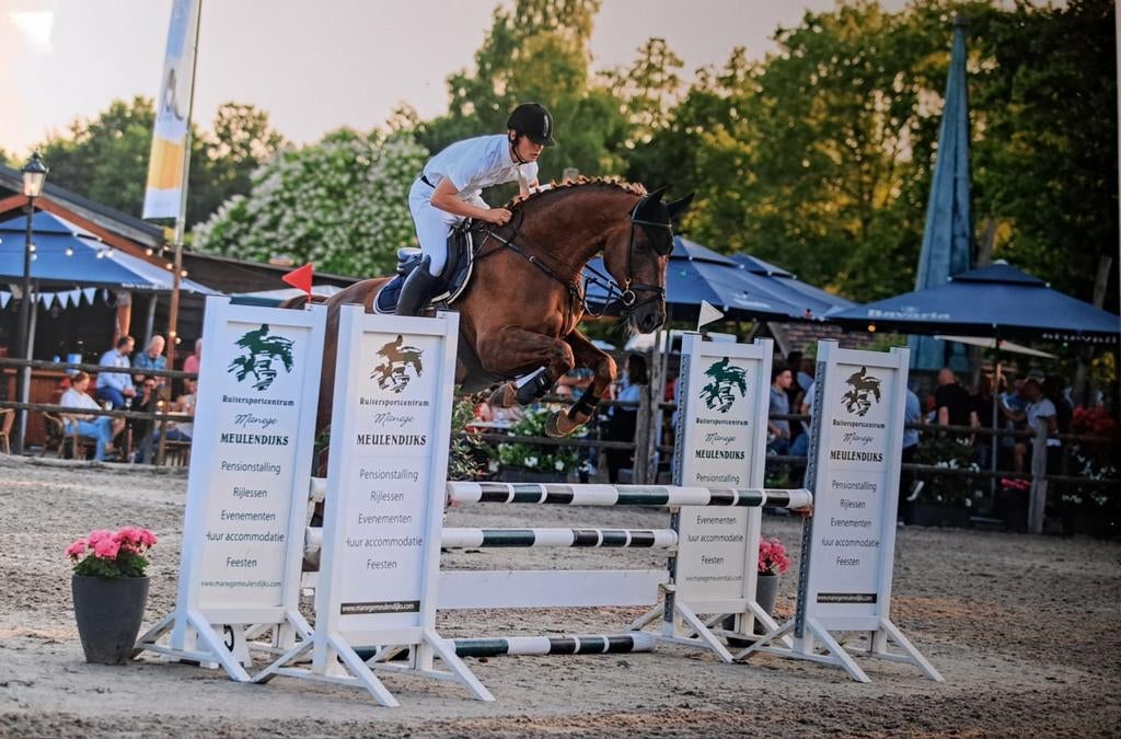 Trainings stallen beschikbaar omgeving eindhoven, Dieren en Toebehoren, Stalling en Weidegang