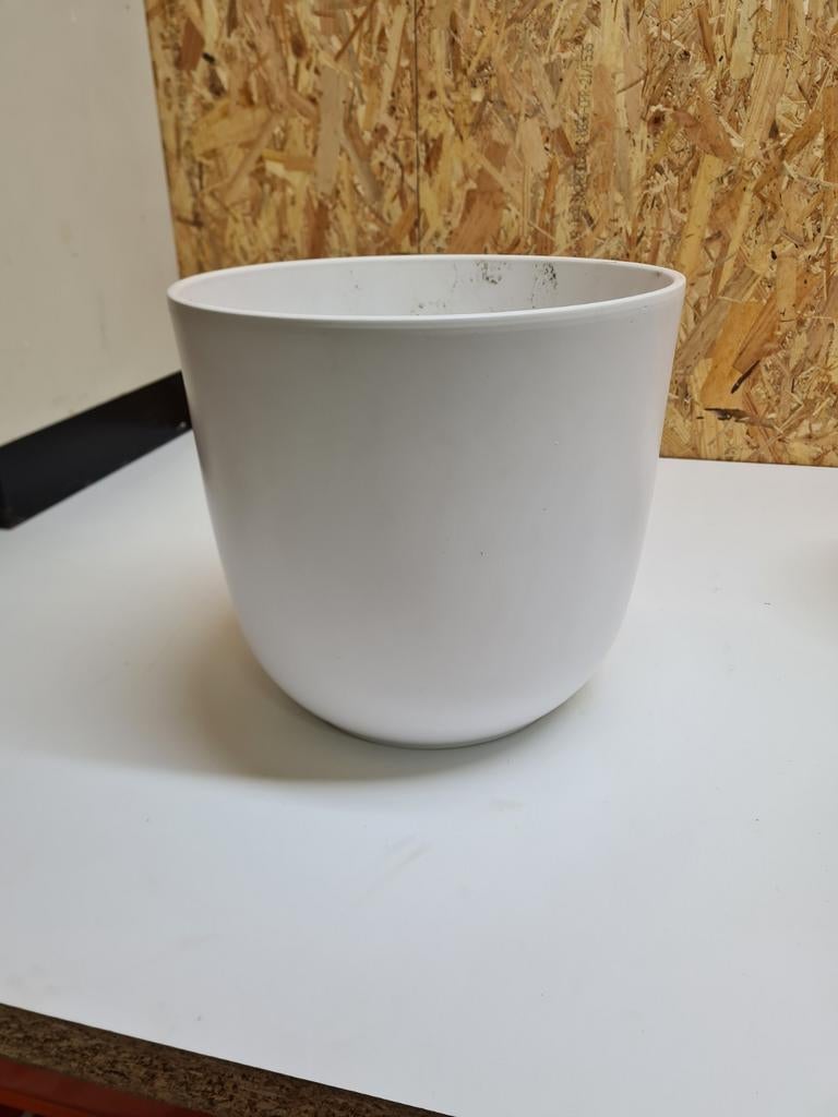 Witte mica bloempot., Ophalen of Verzenden, Halfschaduw, Minder dan 100 cm