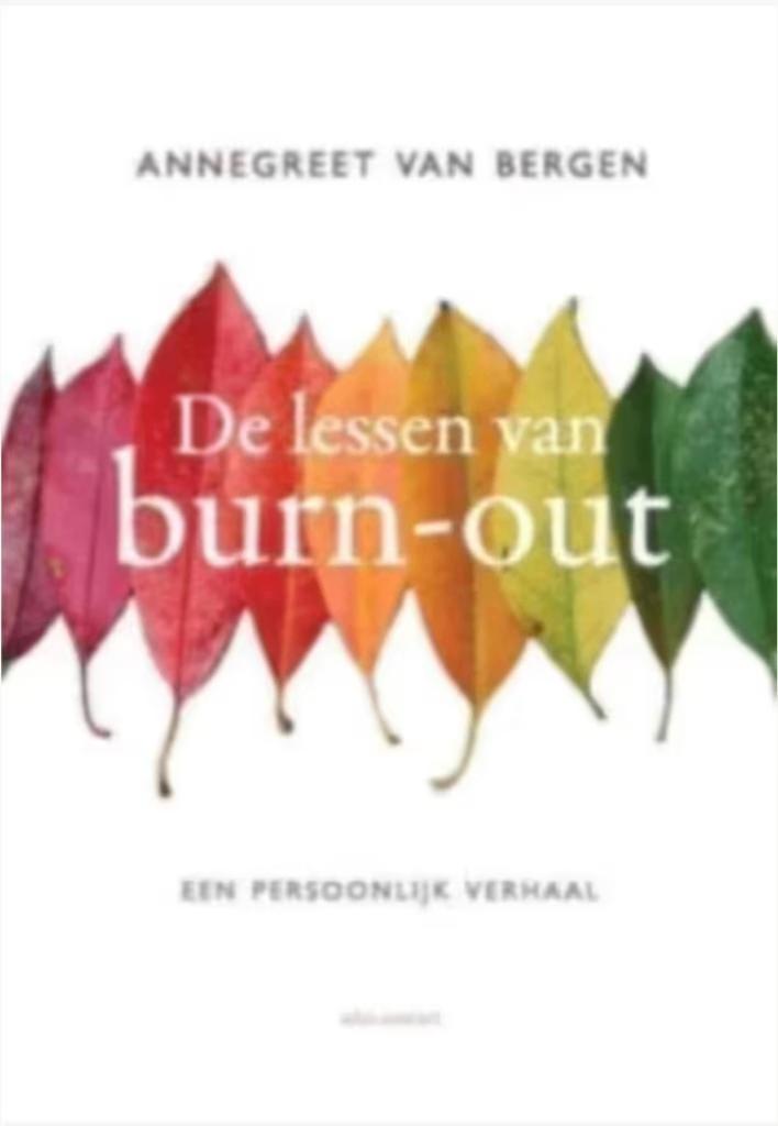De lessen van Burn-out (een persoonlijk verhaal), Boeken, Ophalen of Verzenden, Zo goed als nieuw