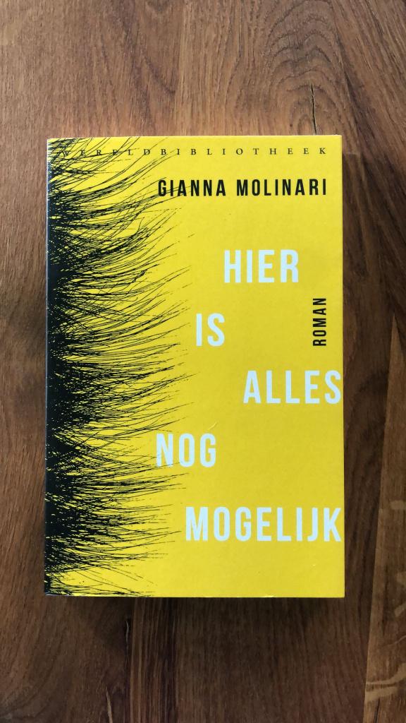 Hier is alles nog mogelijk - Gianna Molinari (9789028427761), Gianna Molinari, Ophalen of Verzenden, Zo goed als nieuw, Nederland