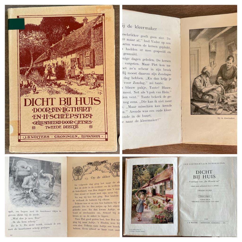 Dicht bij huis, Ophalen of Verzenden, Zo goed als nieuw, Prentenboek