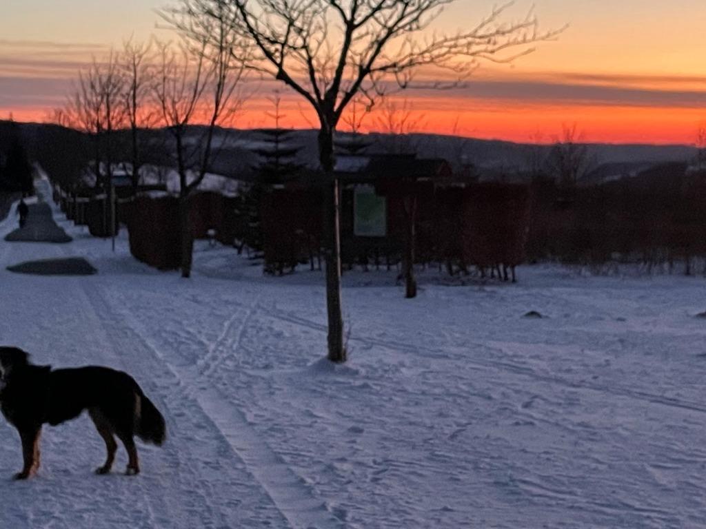 Foto 8 van Sfeervol vrijstaand huis dichtbij Winterberg en de natuur