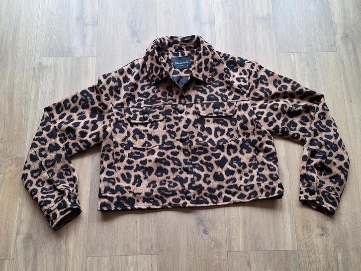 leuk kort jasje panterprint Drole de Copine maat S - NIEUW, Kleding | Dames, Bruin, Nieuw, Ophalen of Verzenden, Jasje