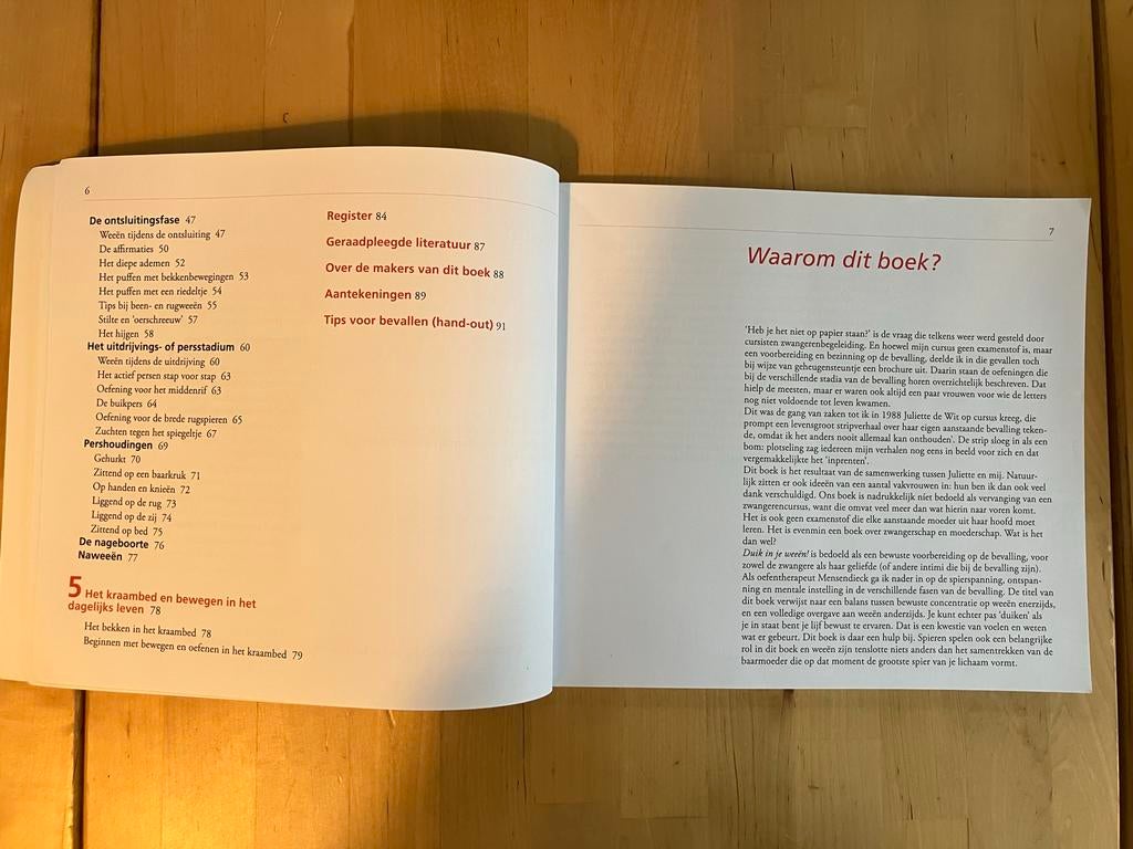 Duik in je weeen - Boek over zwangerschap en bevalling, Ophalen of Verzenden, Gelezen