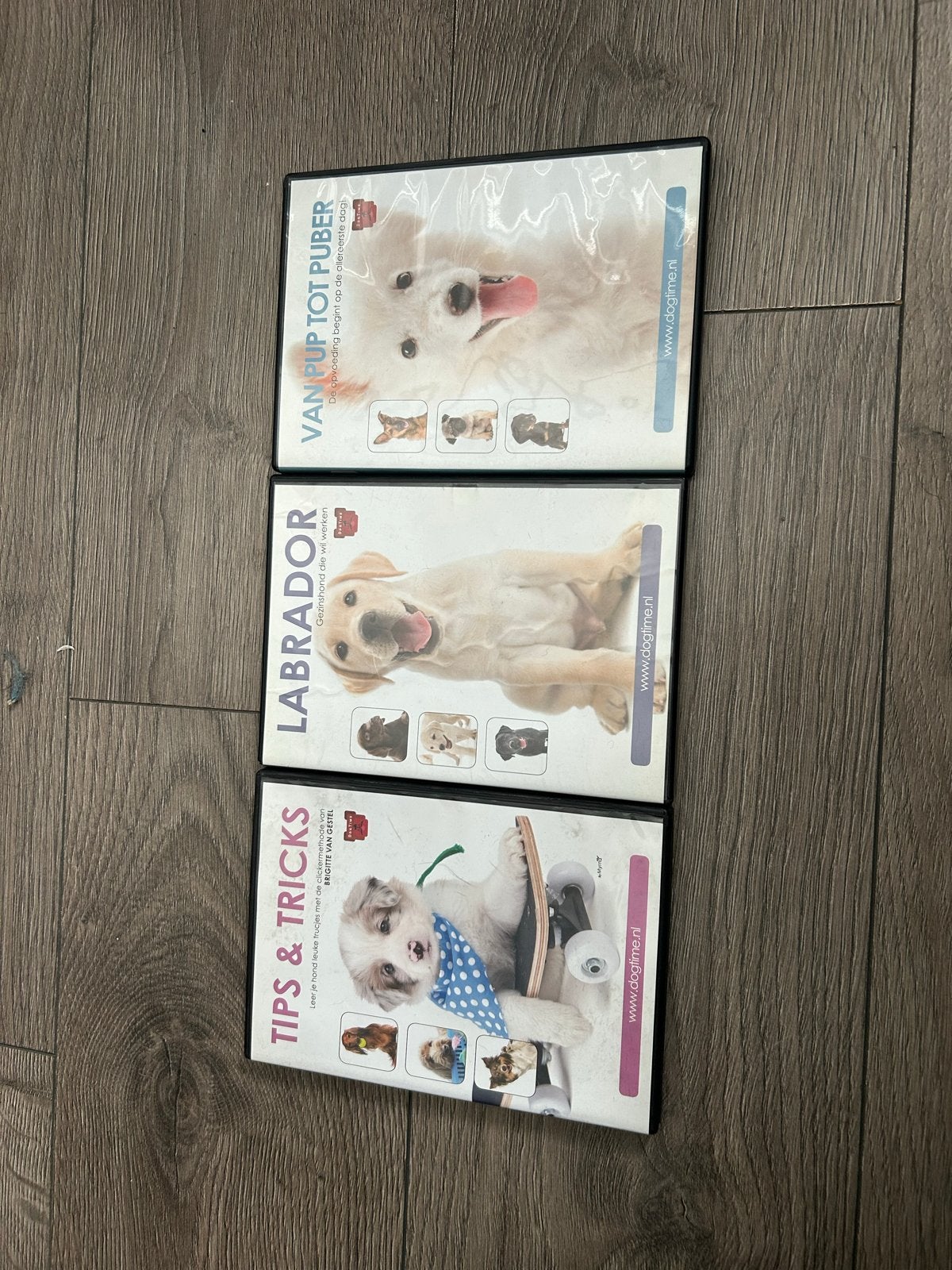 Honden DVD's: Van Pup tot Puber, Labrador, Tips & Tricks, Alle leeftijden, Ophalen of Verzenden, Gebruikt, Nederlands