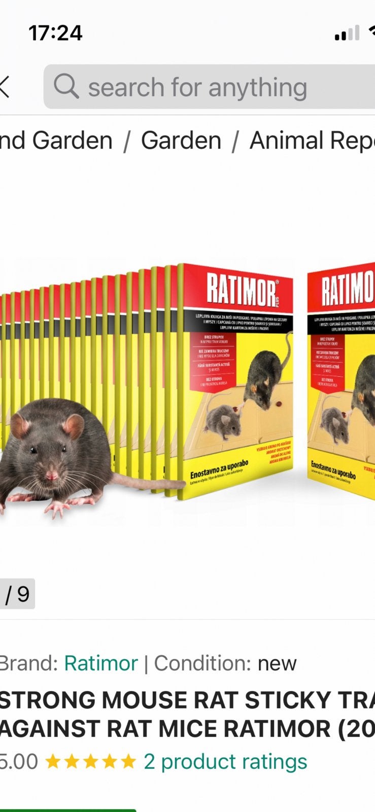 Last van ongedierte, Dieren en Toebehoren, Rat, December, Meerdere dieren, Tam