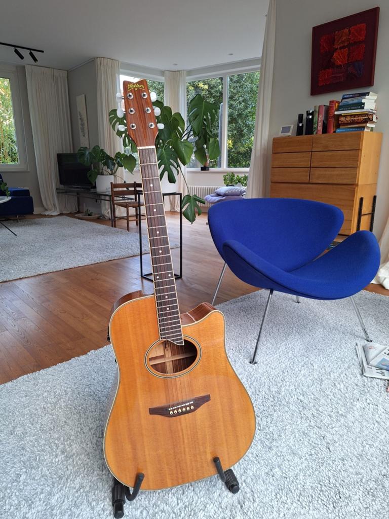 Washburn DC80E "Charleston" – Stephen's Extended Cutaway, Muziek en Instrumenten, Snaarinstrumenten | Gitaren | Akoestisch, Ophalen