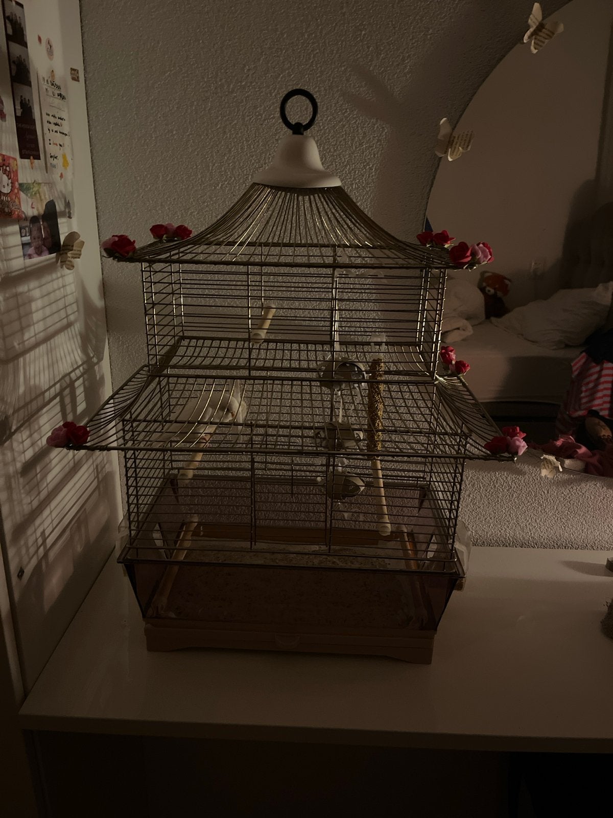 Vogelkooi, Dieren en Toebehoren, Ophalen of Verzenden, Zo goed als nieuw, Metaal, Vogelkooi