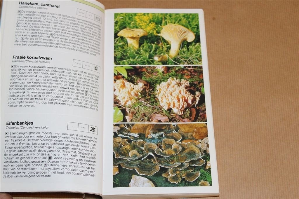 Familie-Natuurgids Dieren en Planten — Rijk Geïllustreerd, Ophalen of Verzenden, Gelezen, Natuur algemeen