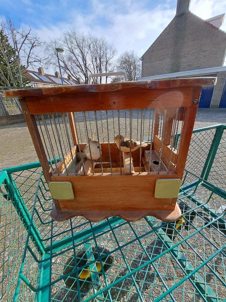 Vogelhuisje Retro, Tuin en Terras, Ophalen, Gebruikt