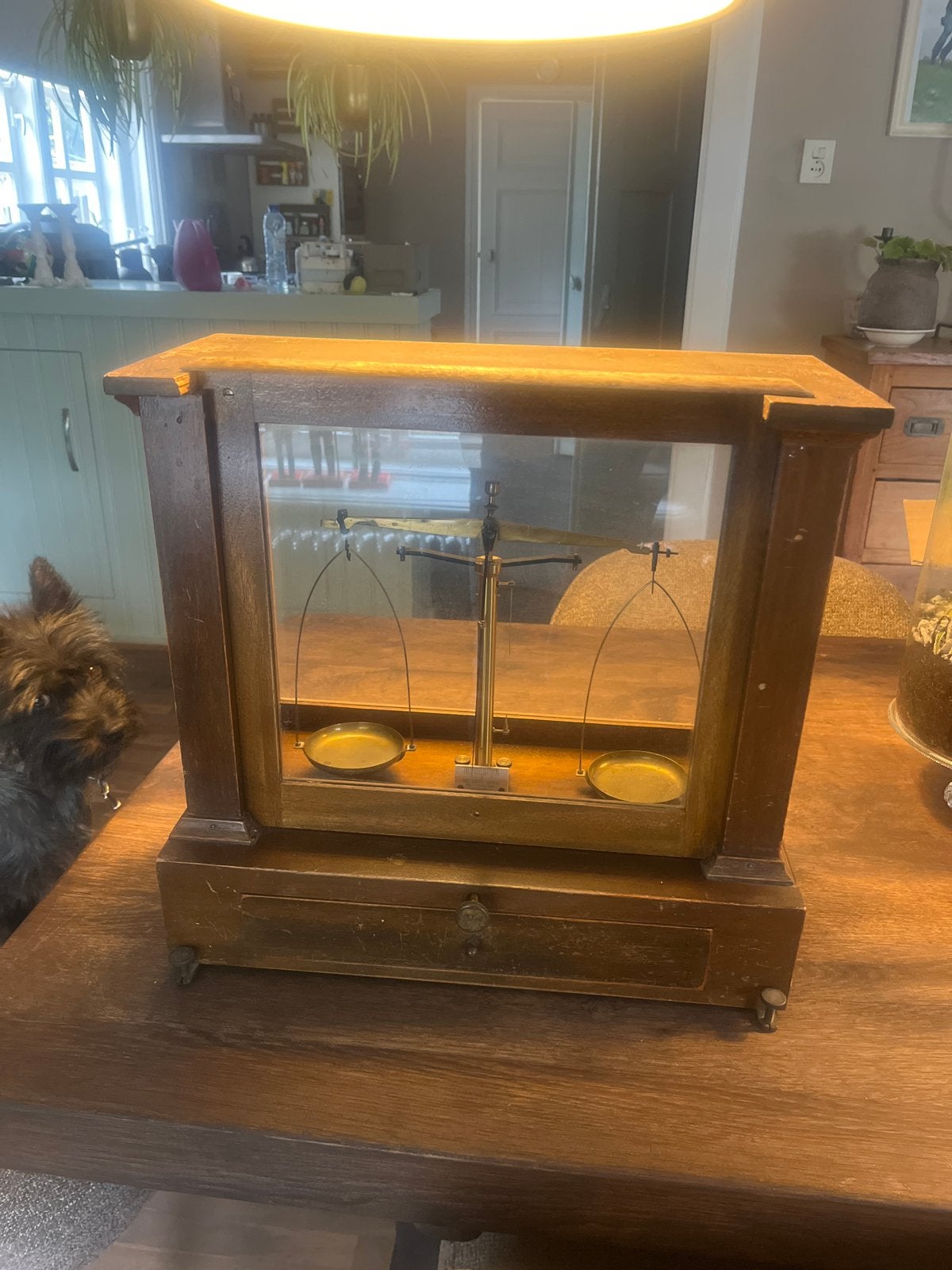 Antieke apothekersweegschaal in houten vitrine, Ophalen