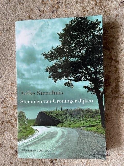 Stemmen van Groninger dijken  Aafke Steenhuis, Nieuw, Ophalen of Verzenden, Nederland, Aafke Steenhuis
