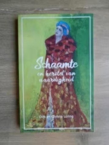 Schaamte en het herstel van waardigheid * Dirk Lüling, Boeken, Verzenden, Zo goed als nieuw, Overige onderwerpen, Achtergrond en Informatie
