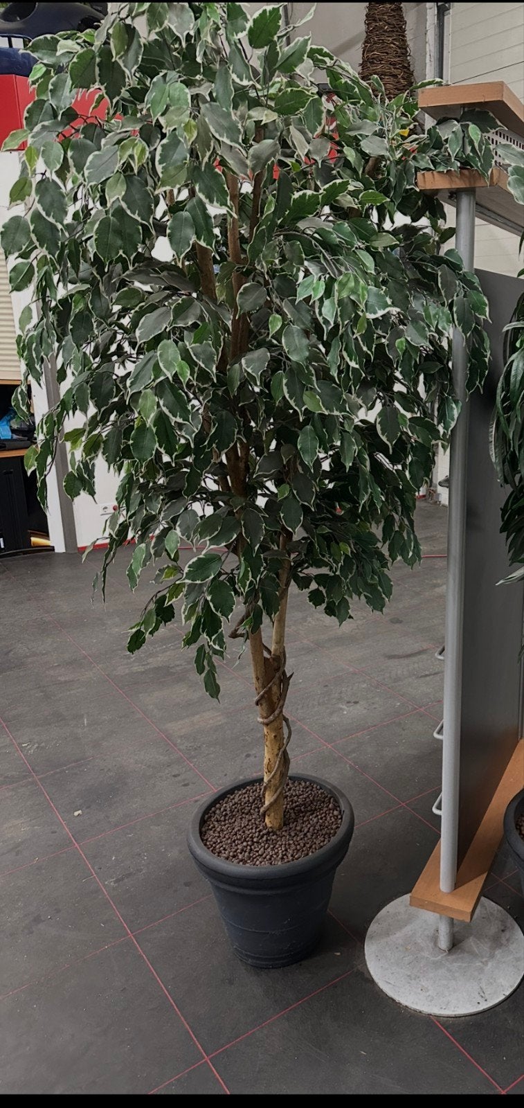 Grote kunstplant kunstboom, Huis en Inrichting, Woonaccessoires | Kunstplanten en Kunstbloemen, Ophalen, Binnen, Onderhoudsvrij