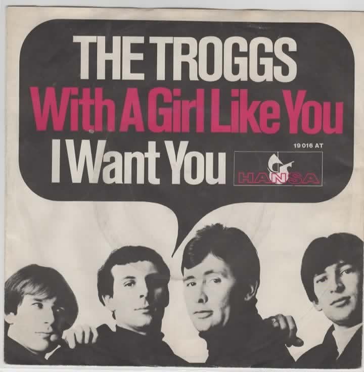The Troggs- With a Girl like You Dtse persing