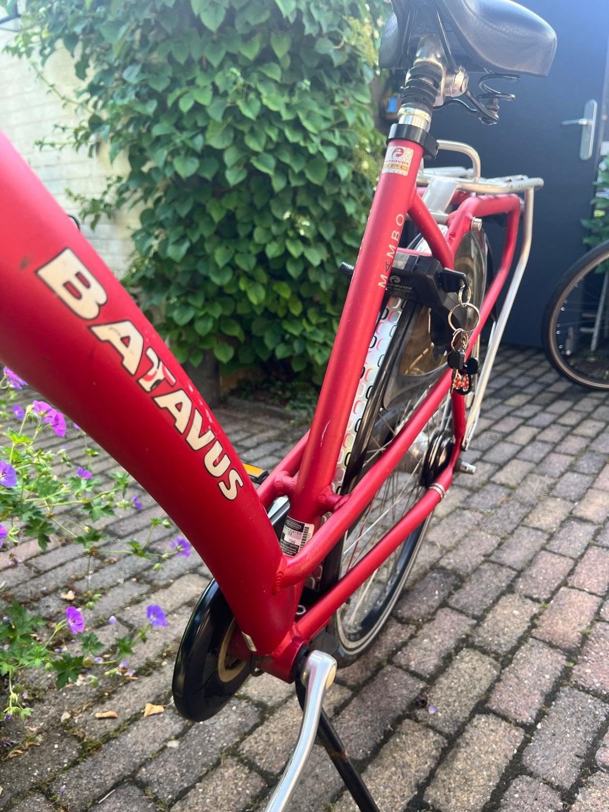 Batavus Mambo Damesfiets - Rood - Framemaat 53 cm, Ophalen, Gebruikt, Versnellingen, Batavus
