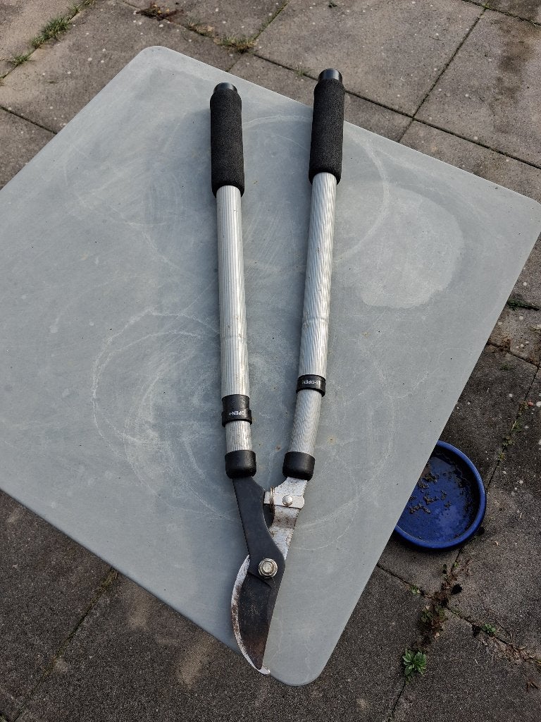 Gratis takkenschaar, Tuin en Terras, Ophalen, Gebruikt