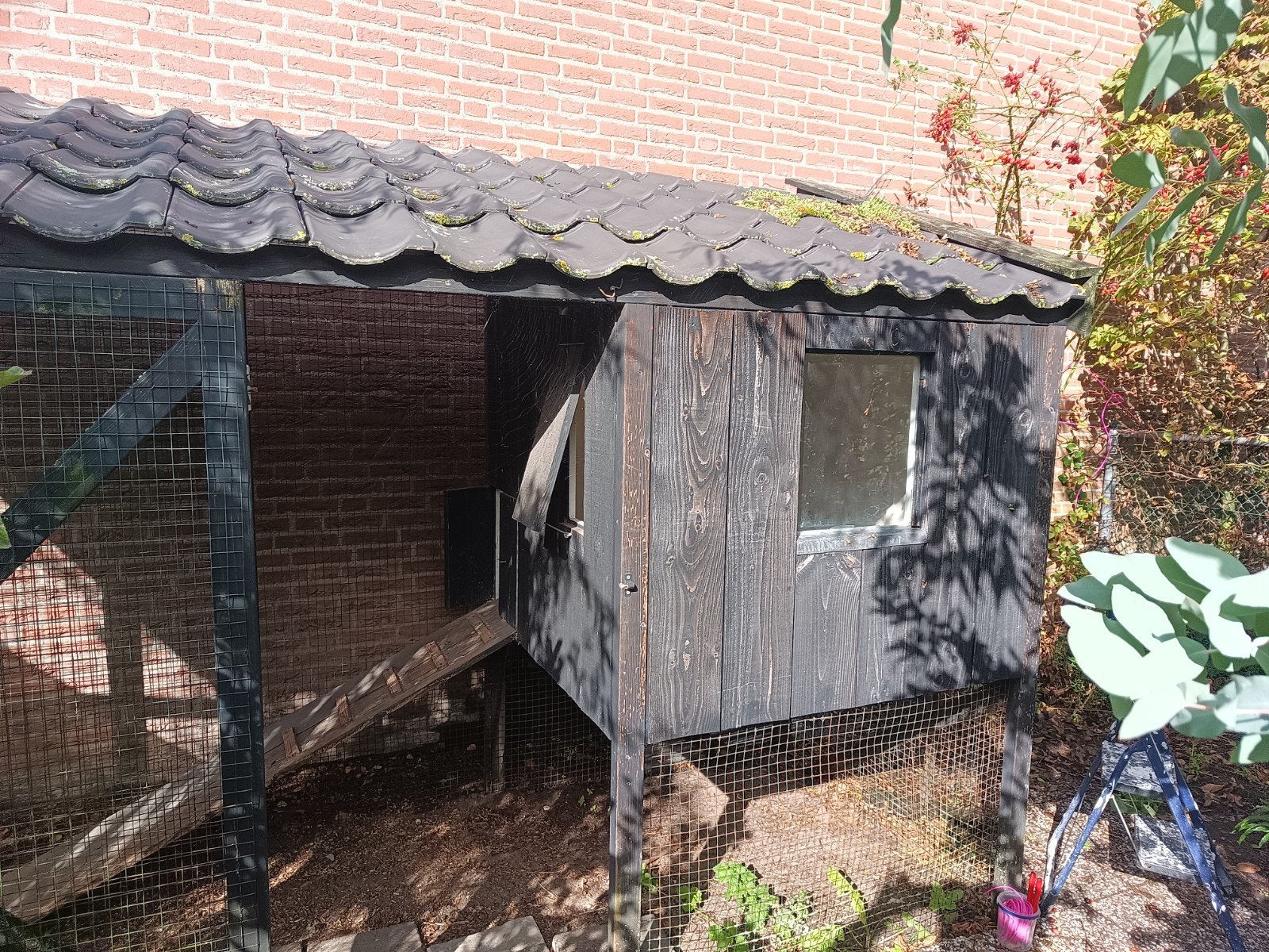 prachtig zwart kippenhok met ren, Ophalen, Gebruikt