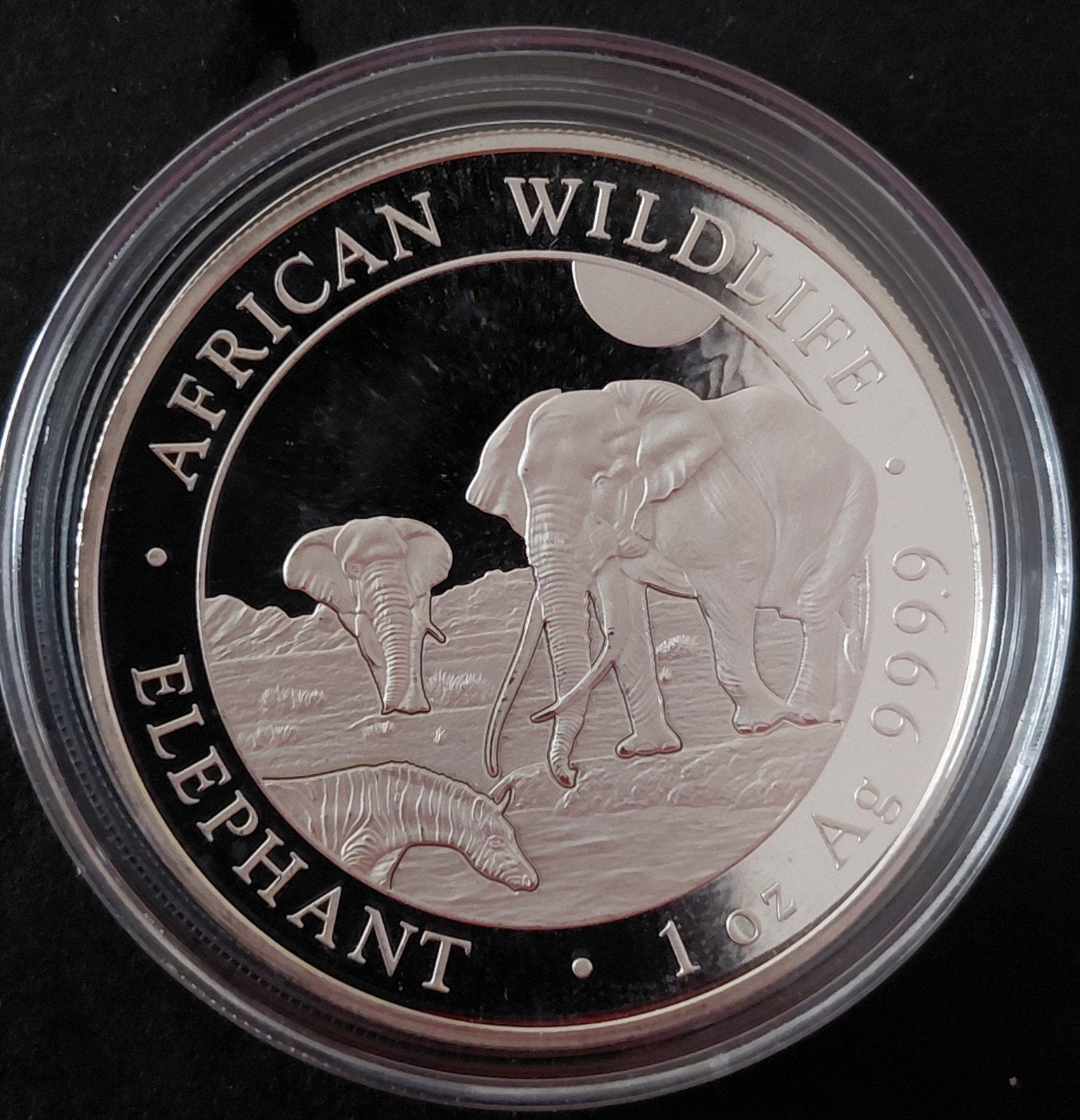 Somalië Olifant 2026 1 oz 999 African Wildlife, Verzenden, Zilver