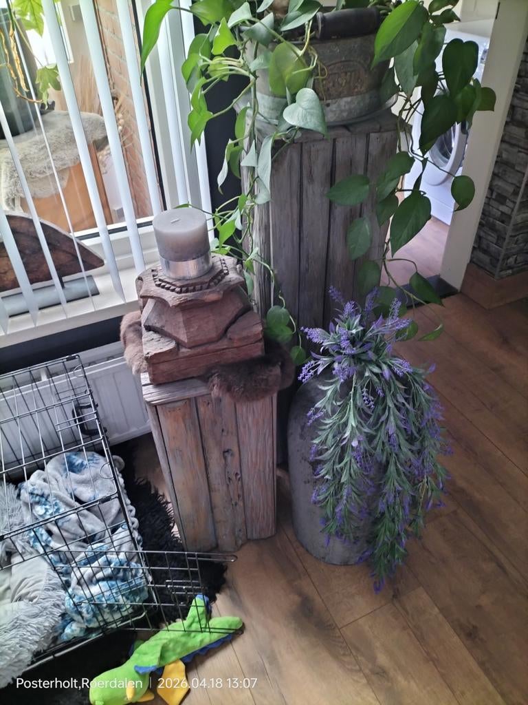 Rustieke houten plantenstandaard / sokkel, Ophalen, Gebruikt
