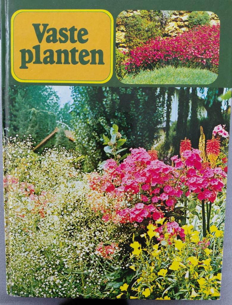 Vaste planten uitgave van Focus Elsevier, Ophalen of Verzenden, Zo goed als nieuw, Tuinieren en Tuinplanten
