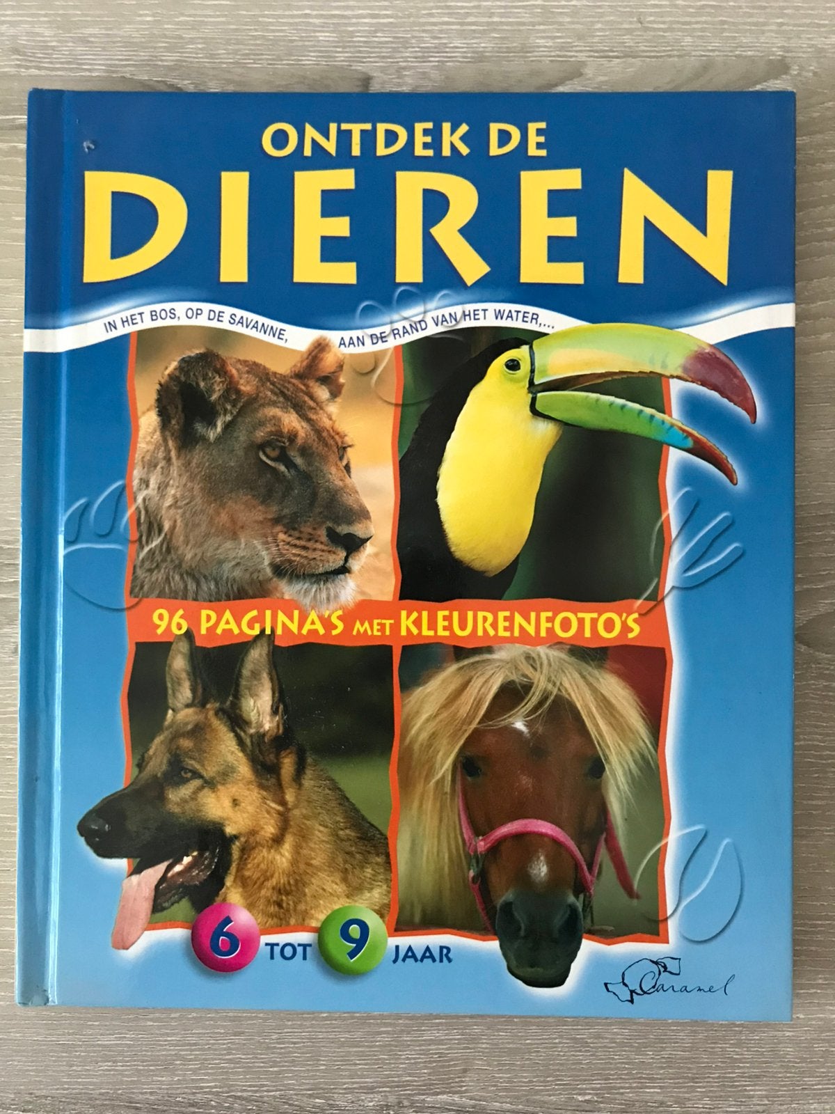 Yves Verbeek - Ontdek de dieren, Boeken, Ophalen of Verzenden, Zo goed als nieuw, Yves Verbeek