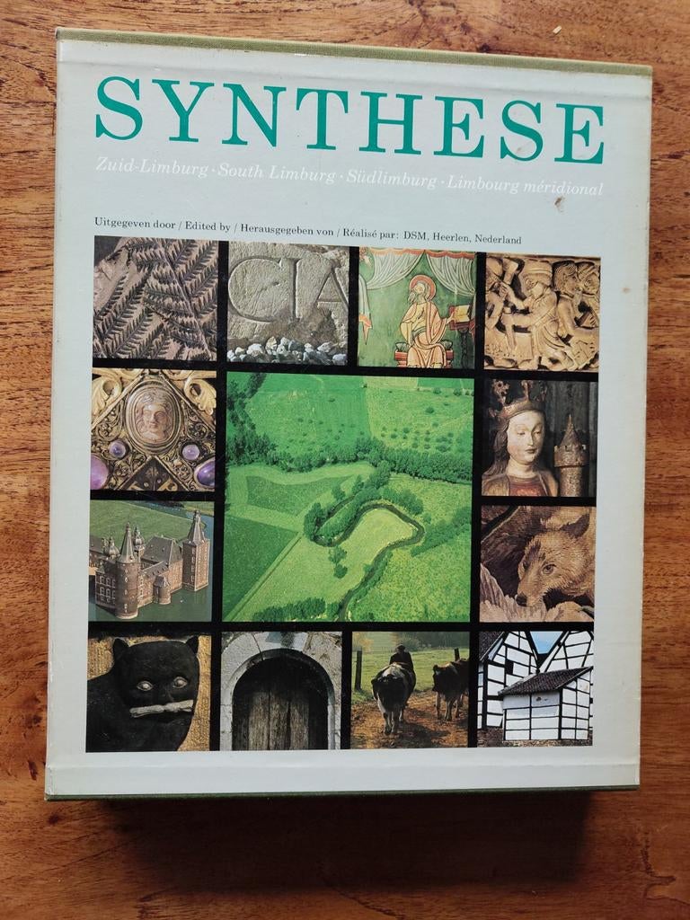 Synthese Zuid-Limburg: Boek over de regio, Ophalen of Verzenden
