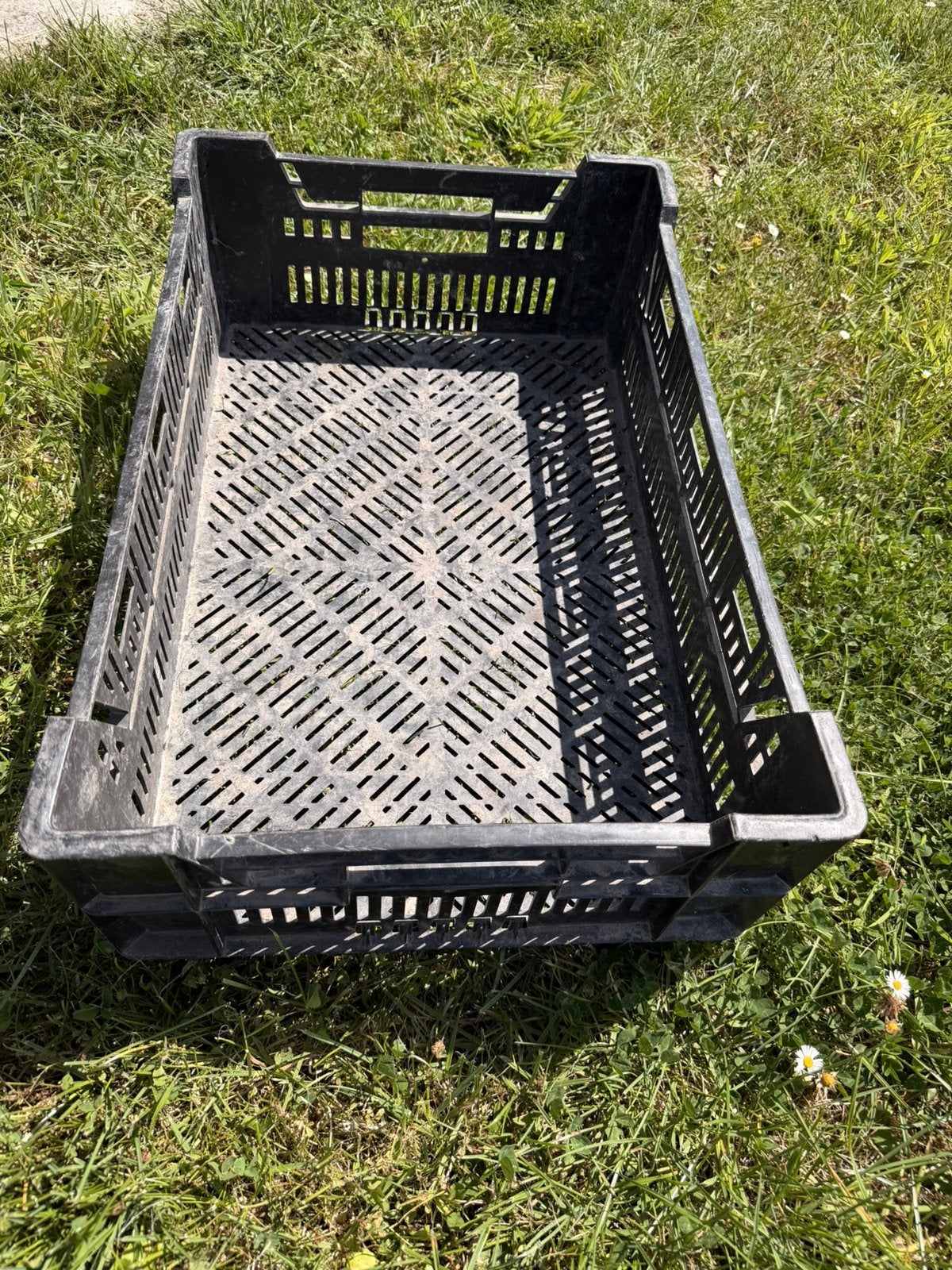 veenmankisten, Ophalen, 40 tot 60 cm, 50 tot 75 cm, Minder dan 35 cm