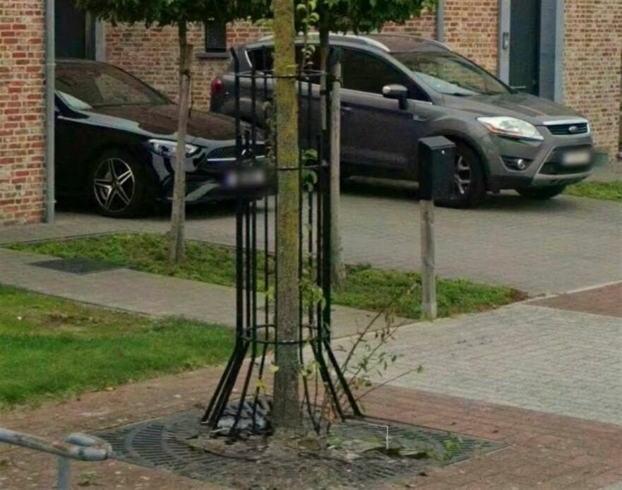 Boom bescherm sierhekken 2 delig gegalv staal zwart, Overige soorten, 100 tot 250 cm, Zomer, Ophalen