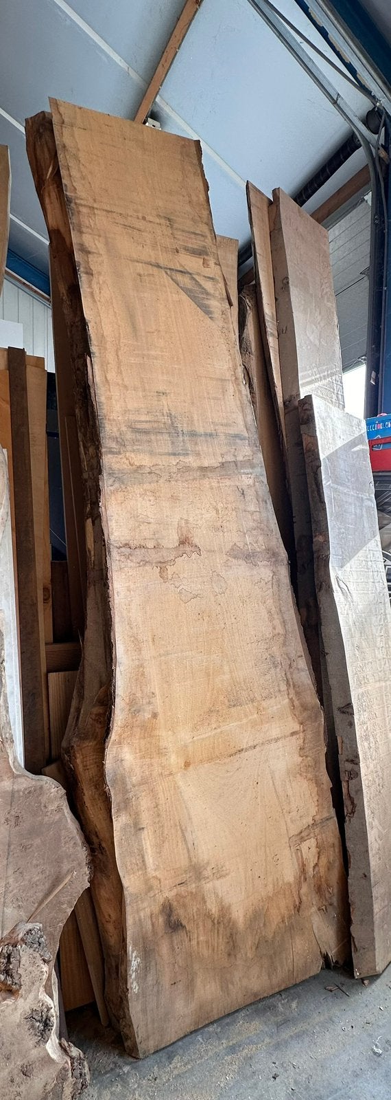 Schaaldeel Boomstam 330 x 98/65cm, Ophalen of Verzenden, Zo goed als nieuw