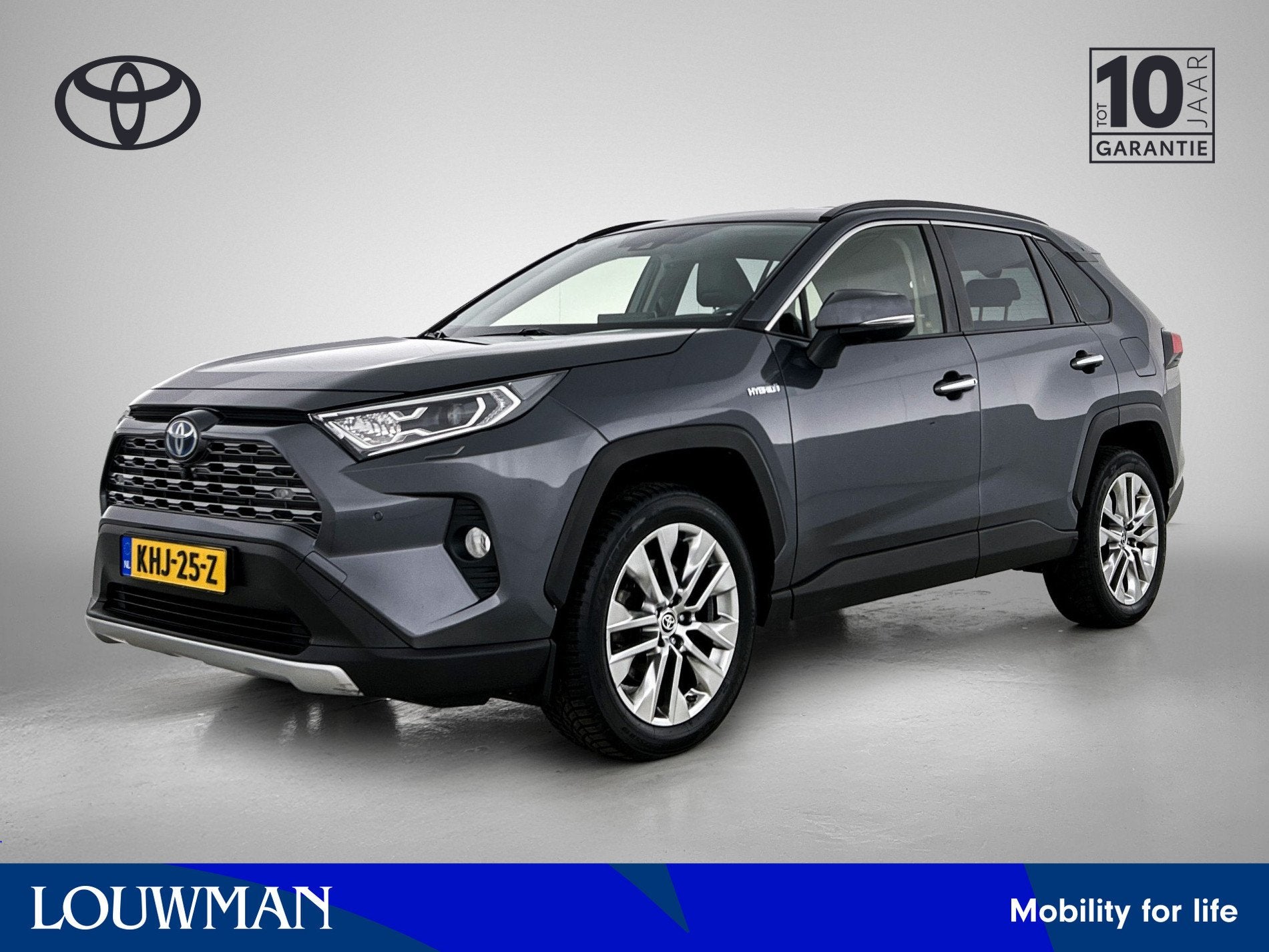 Toyota RAV4 2.5 Hybrid AWD Executive | JBL | Dodehoek detect