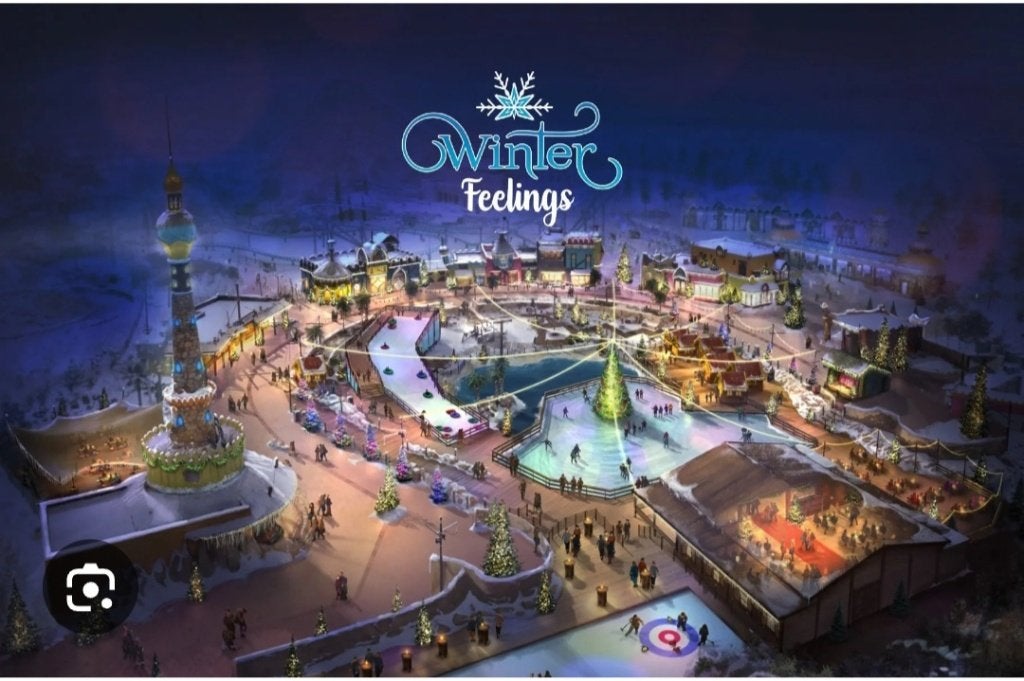 Toverland tickets 3 stuks €65, Drie personen of meer, Ticket of Toegangskaart