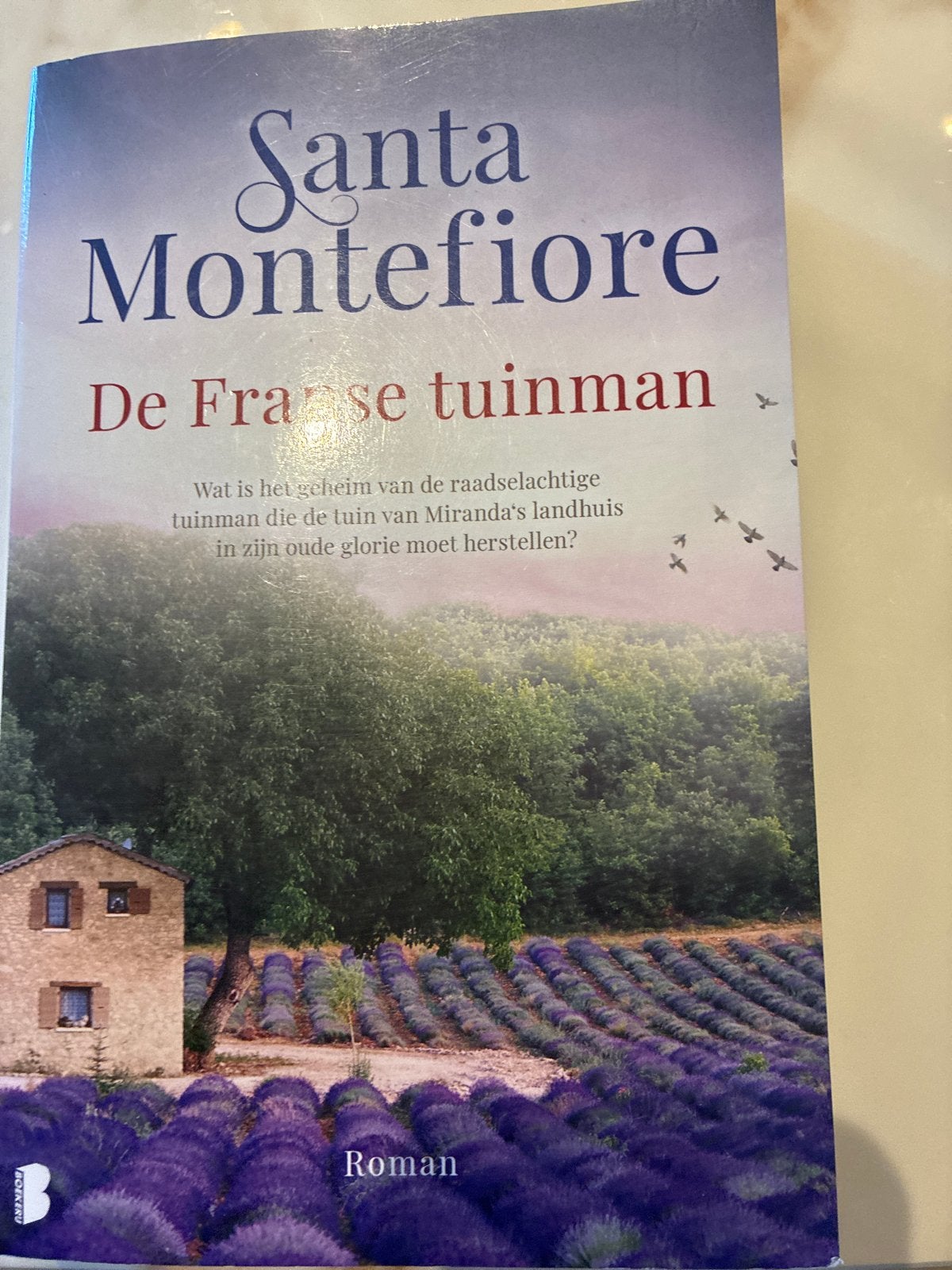 De Franse tuinman - Santa Montefiore (Roman), Ophalen of Verzenden, Zo goed als nieuw, Nederland