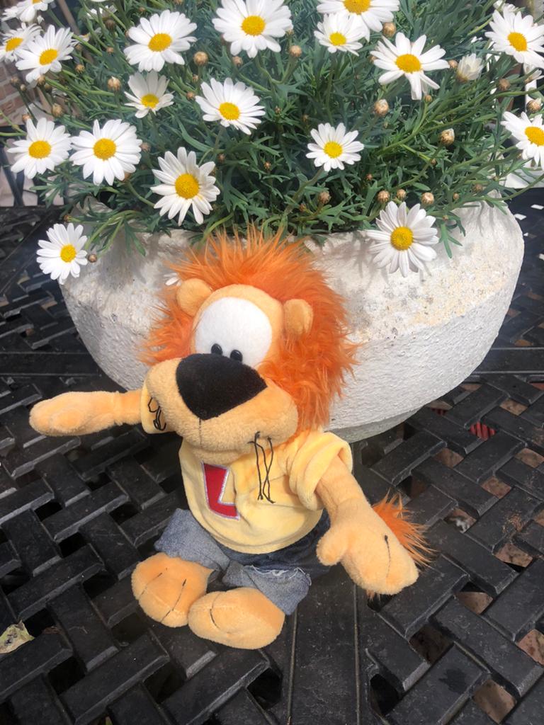Knuffel Loeki de leeuw, Ophalen of Verzenden, Zo goed als nieuw, Overige typen