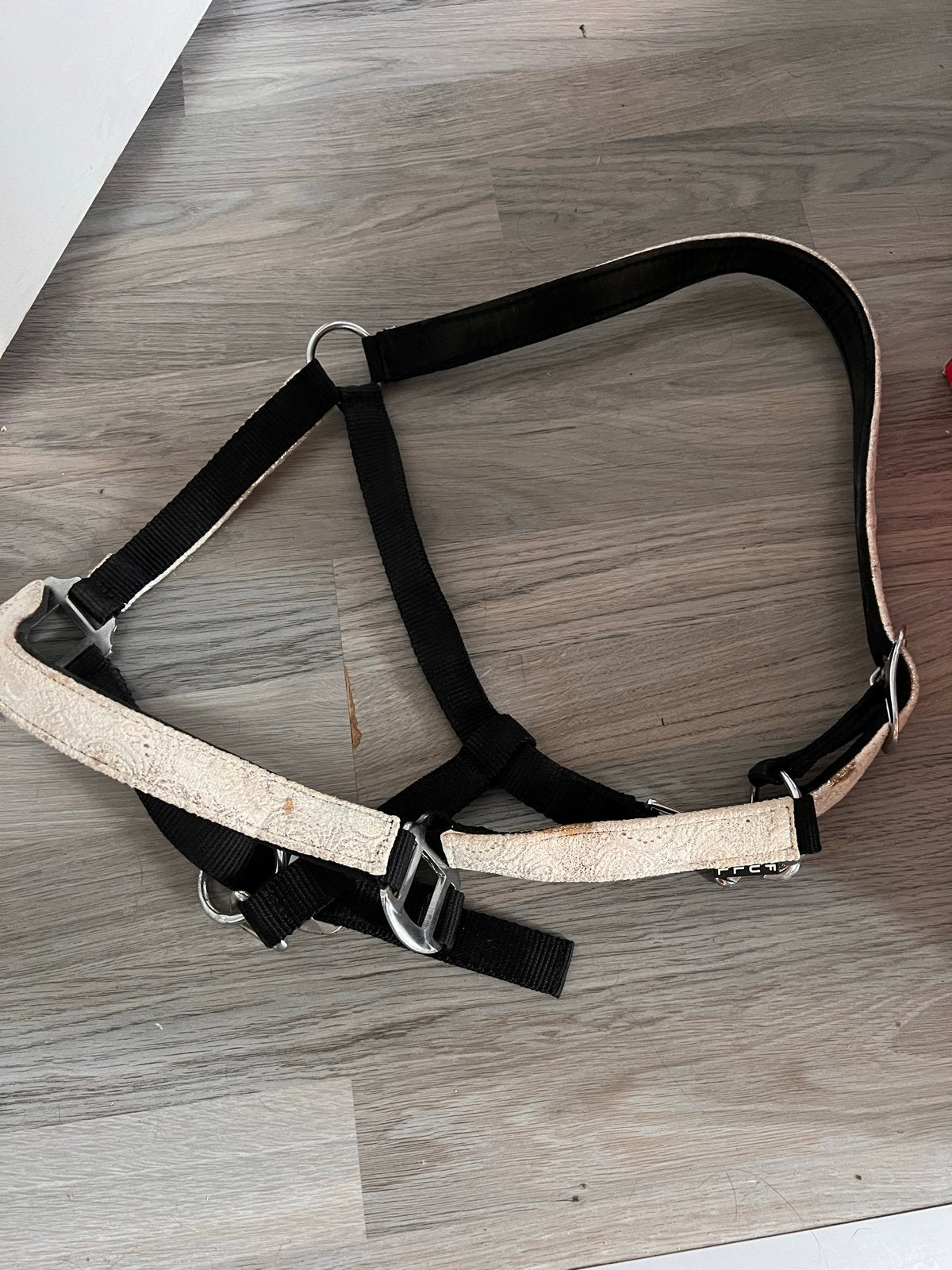 Halster te koop, Dieren en Toebehoren, Gebruikt, Meerkleurig, Ophalen of Verzenden, Halster