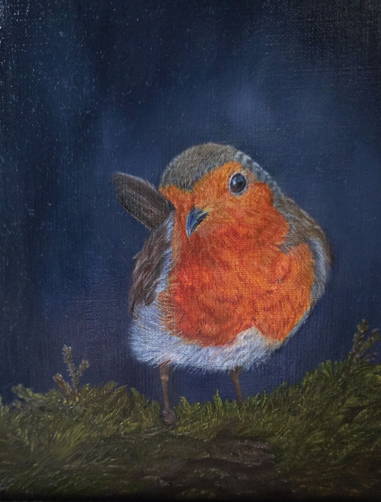 Olieverf Schilderij Roodborstje in Baklijst 24x18 cm, Antiek en Kunst, Kunst | Schilderijen | Klassiek, Ophalen of Verzenden