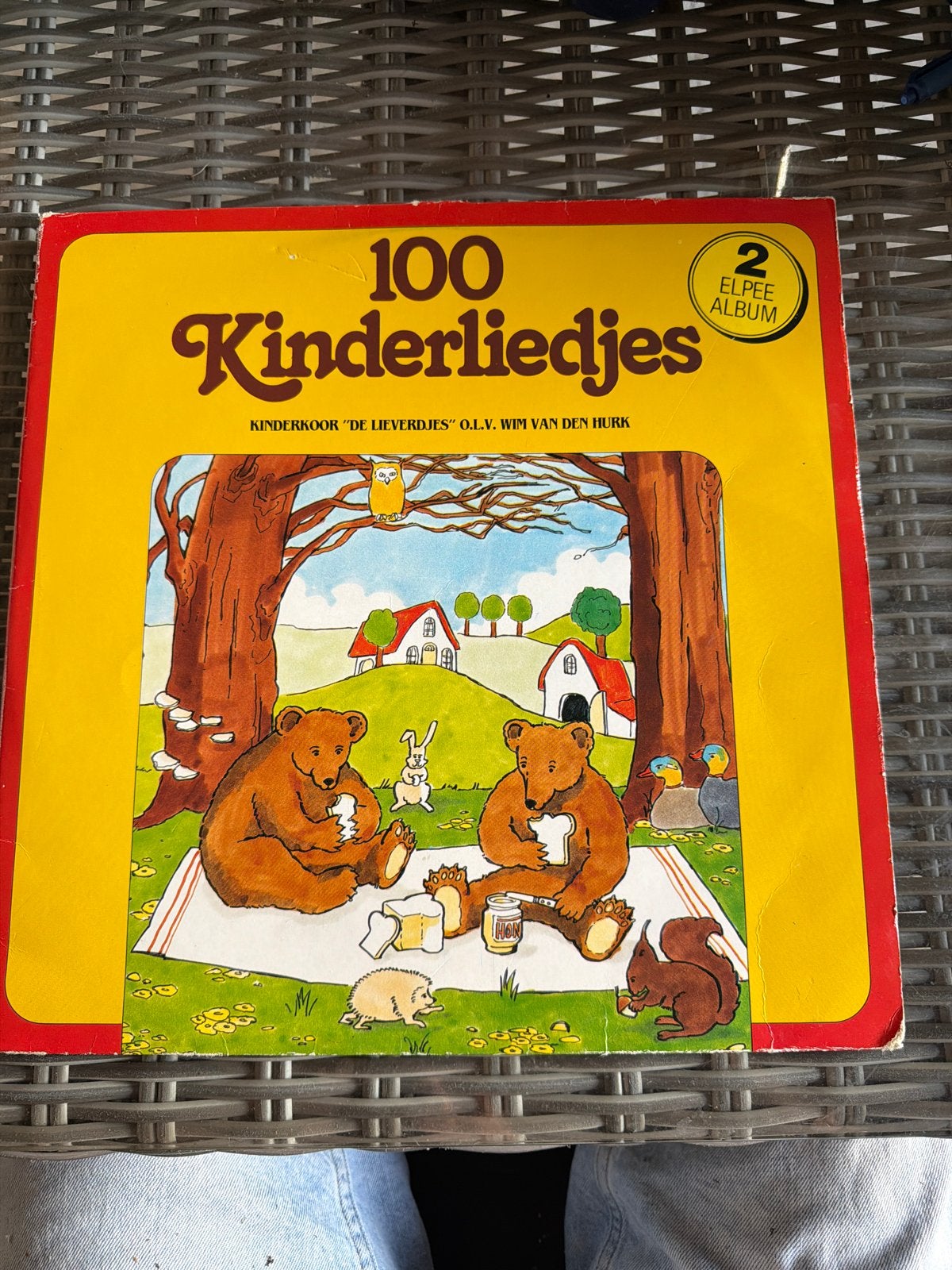 100 Kinderliedjes - 2 LP Album - Kinderkoor De Lievejes, Gebruikt, Ophalen of Verzenden, 12 inch, Muziek