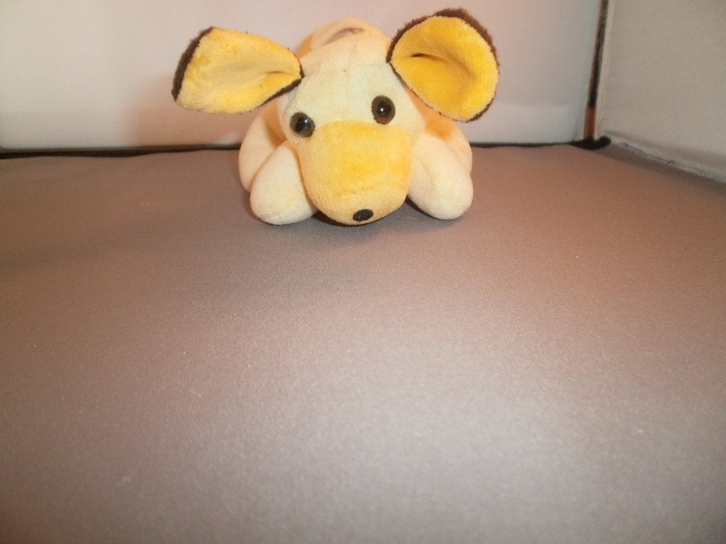 retro hond geel bruin kcf holl glazen bruin zwarte oogjes 13, Geel, Zo goed als nieuw, Wasbaar, Klein (minder dan 20 cm)