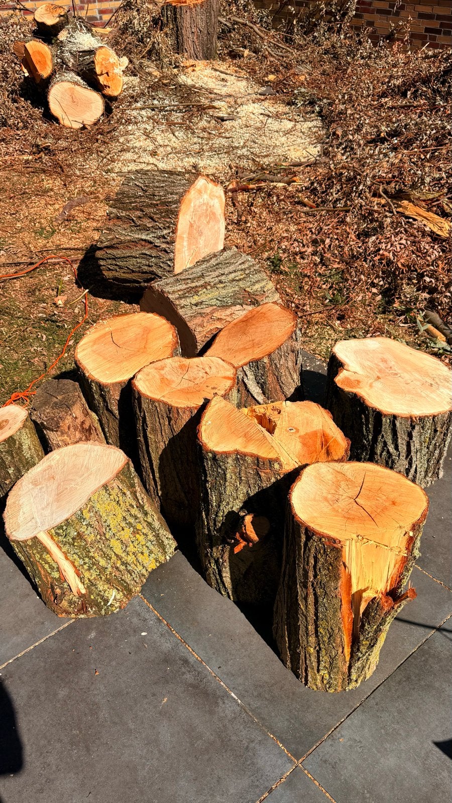 Brandhout te koop, Tuin en Terras, Haardhout, 6 m³ of meer, Ophalen, Overige houtsoorten, Stammen