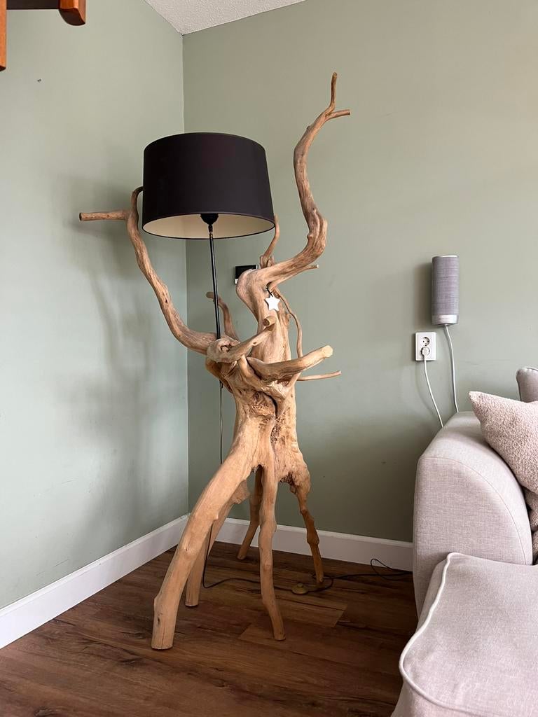 Unieke Lamp van echte mangrove boom!, Huis en Inrichting, Ophalen of Verzenden, Zo goed als nieuw