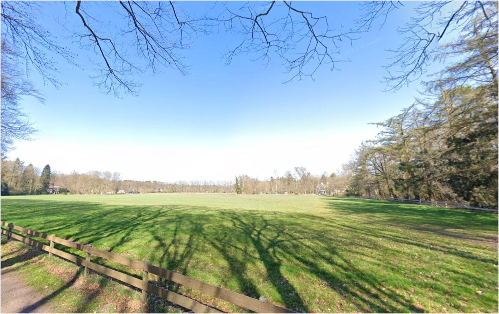 IJslander opfok/begrazing aangeboden, Dieren en Toebehoren, Weidegang, 4 paarden of pony's of meer
