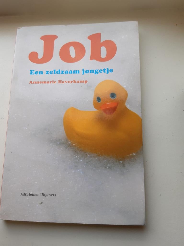 A. Haverkamp - Job, Ophalen of Verzenden, Zo goed als nieuw, A. Haverkamp
