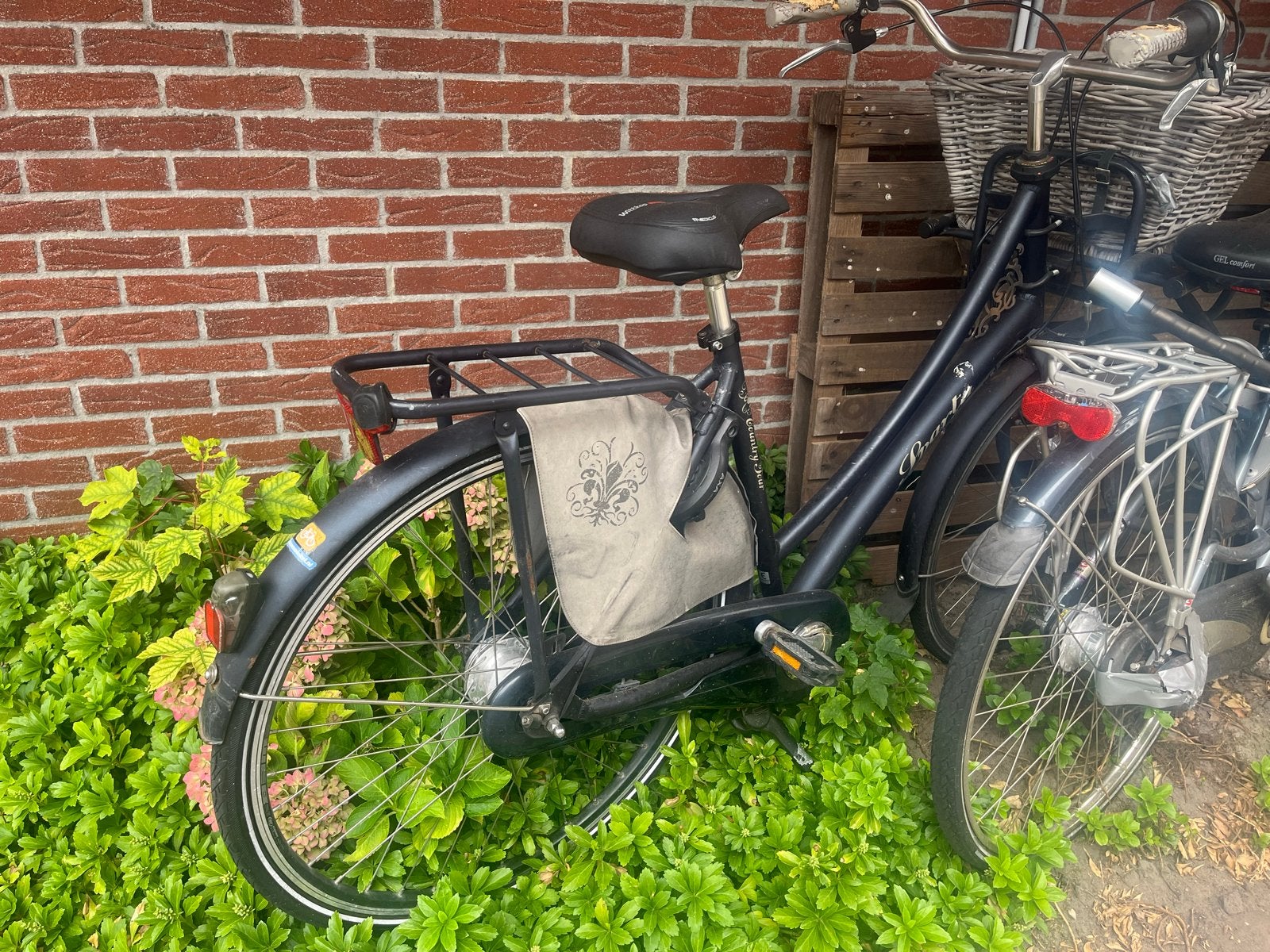 Gebruikte damesfiets met mandje en bagagedrager, Terugtraprem, Gebruikt, 50 tot 53 cm, Ophalen