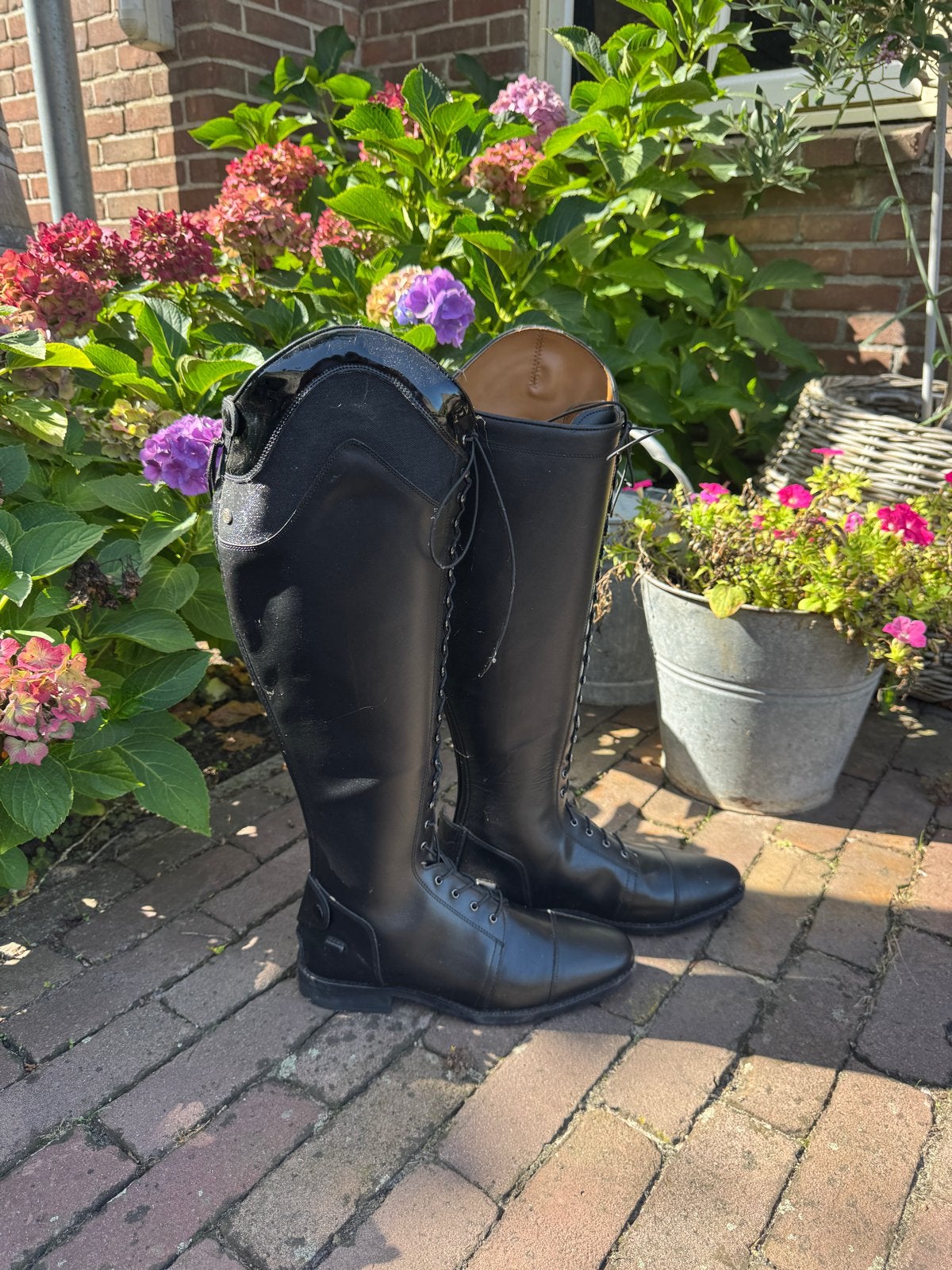Paardrijlaarzen gloednieuw!, Ophalen of Verzenden, Nieuw, Dressuur