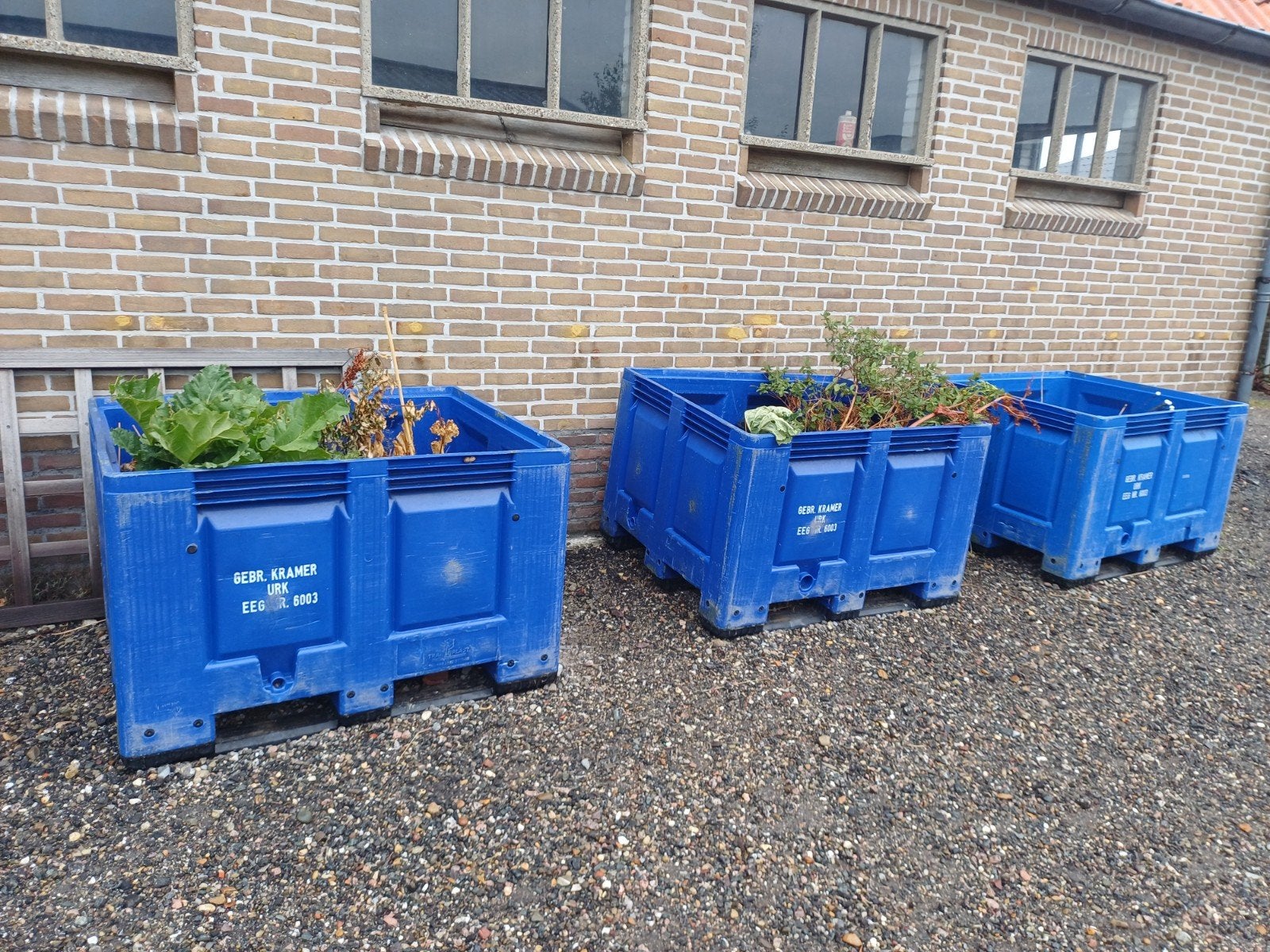 3 kunststof palletboxen, hier in gebruik als moestuinbakken, Ophalen, Kunststof, Gebruikt, 100 cm of meer