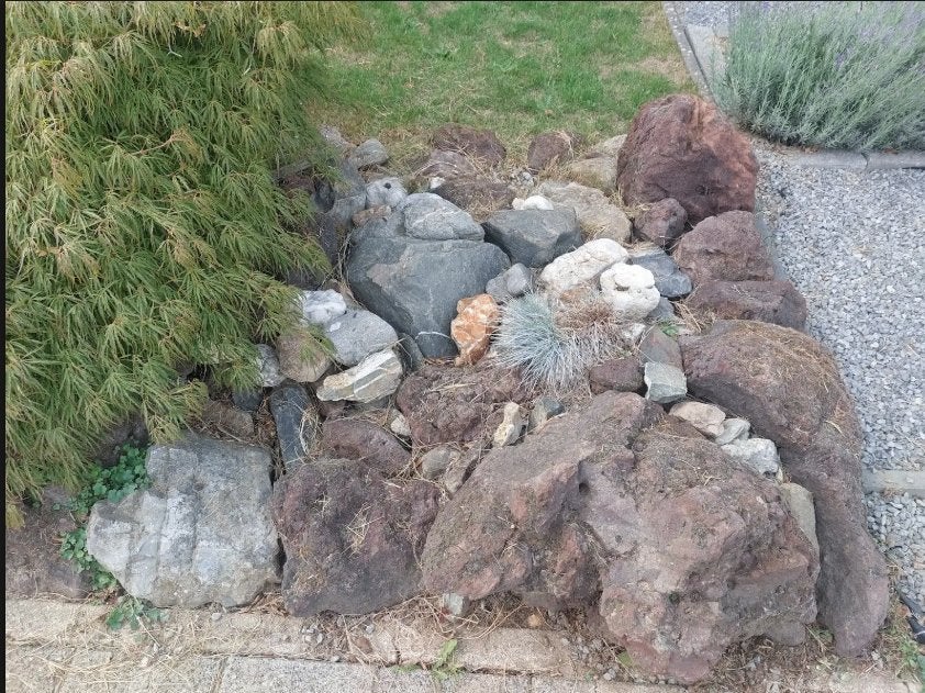 Gratis sierstenen (met Acer), Tuin en Terras, Ophalen, Overige materialen, Gebruikt, Overige typen