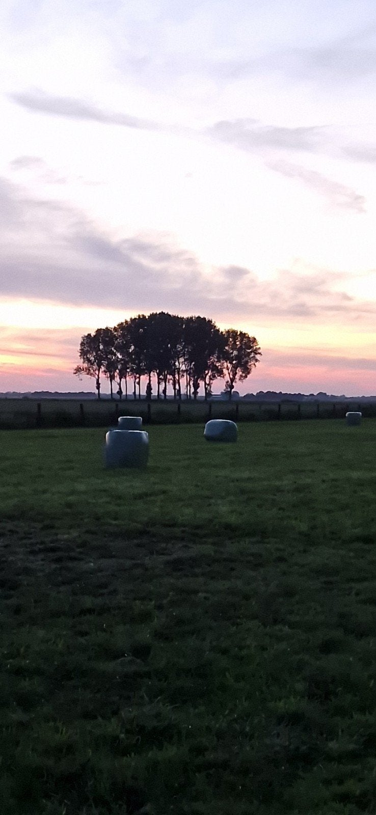 gezocht: trekker met balenklem, Dieren en Toebehoren, Ophalen of Verzenden
