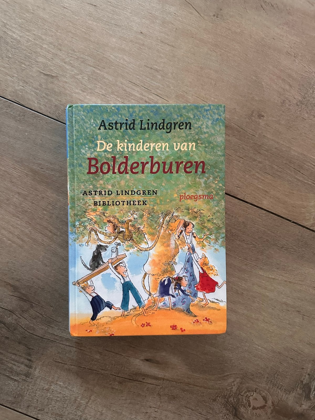 De Kinderen van Bolderburen - Astrid Lindgren, Boeken, Kinderboeken | Jeugd | 10 tot 12 jaar, Zo goed als nieuw, Fictie, Ophalen of Verzenden
