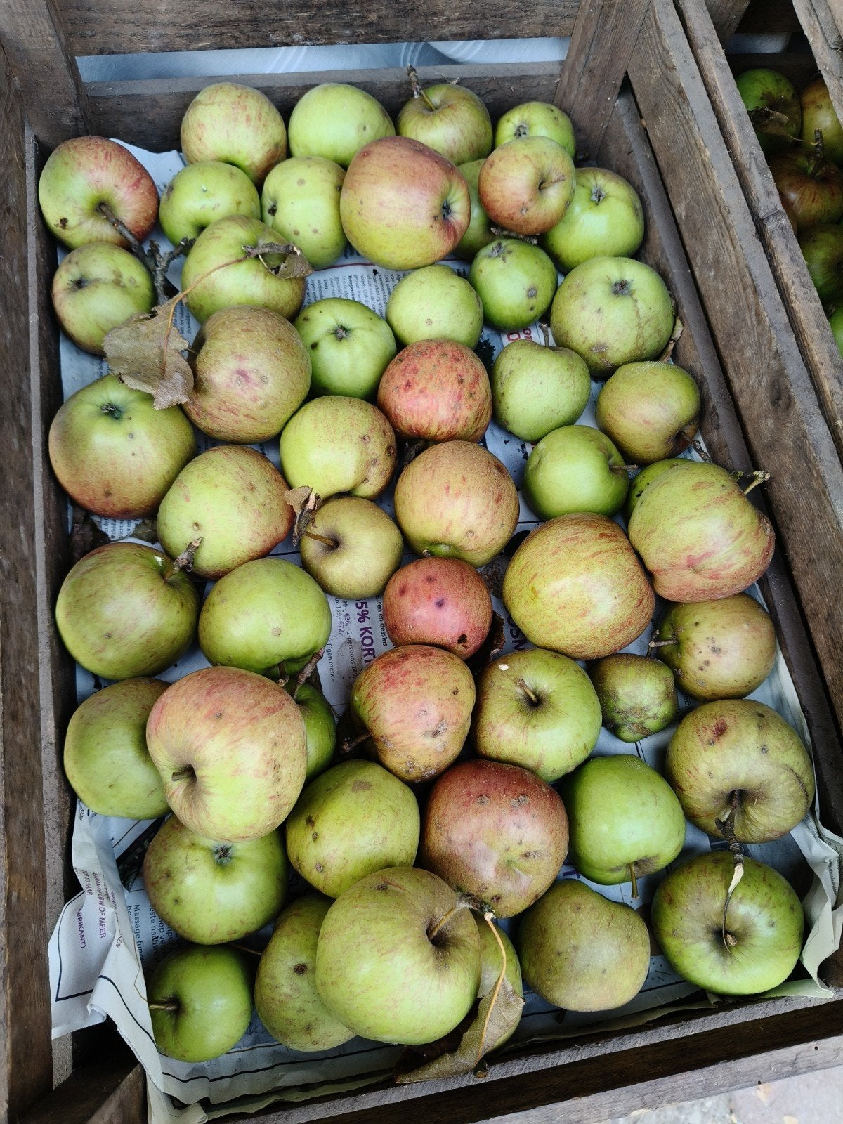 Heerlijke onbespoten Jonagold appels, Ophalen of Verzenden