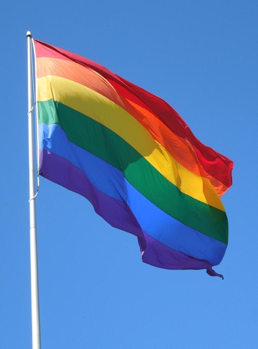 Regenboog Pride Feest vlag, Ophalen of Verzenden, Zo goed als nieuw, One size fits all